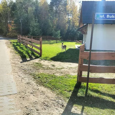 Villa Na Kaszubach Hubertowka W Lipuszu *