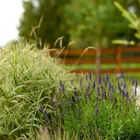 Na Kaszubach Hubertowka W Lipuszu * Lipusz