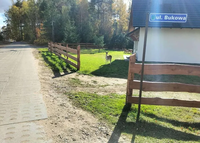 Villa Na Kaszubach Hubertowka W Lipuszu *