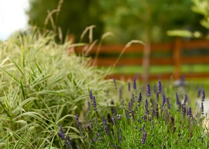 Na Kaszubach Hubertowka W Lipuszu * Lipusz